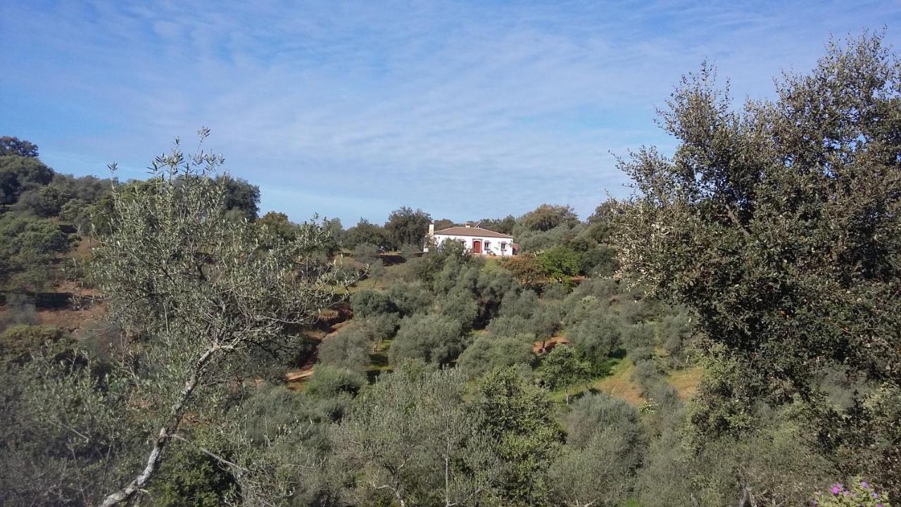 Cortijo Rural Flor De Cazalla 카잘라데라시에라 외부 사진